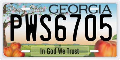 GA license plate PWS6705