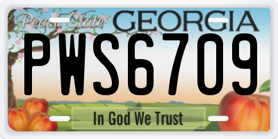 GA license plate PWS6709