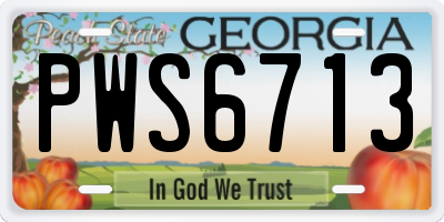 GA license plate PWS6713