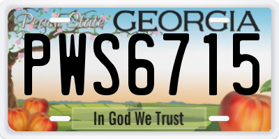 GA license plate PWS6715