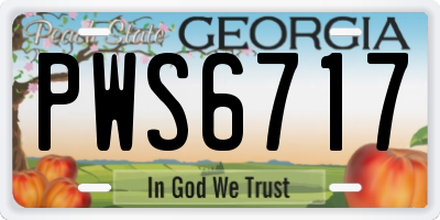 GA license plate PWS6717
