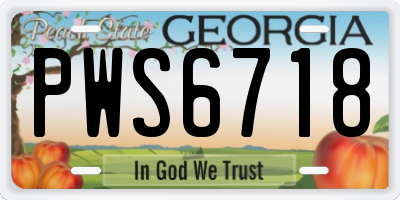 GA license plate PWS6718