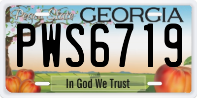 GA license plate PWS6719