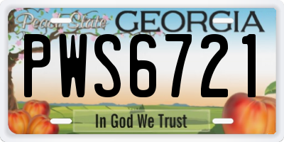 GA license plate PWS6721