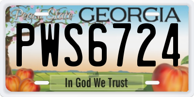 GA license plate PWS6724