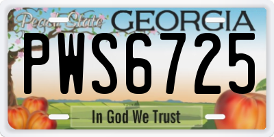 GA license plate PWS6725