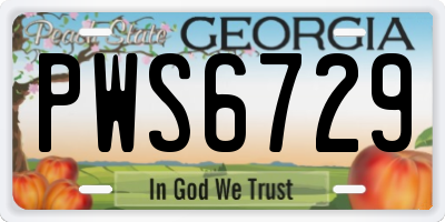 GA license plate PWS6729