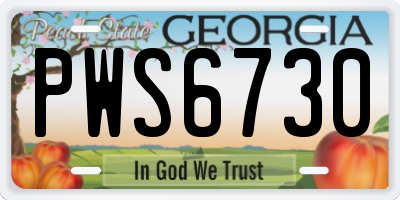 GA license plate PWS6730