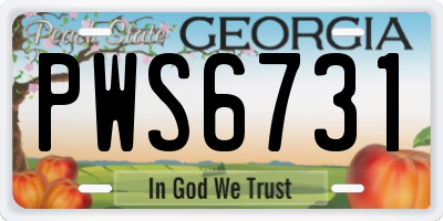 GA license plate PWS6731