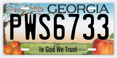 GA license plate PWS6733