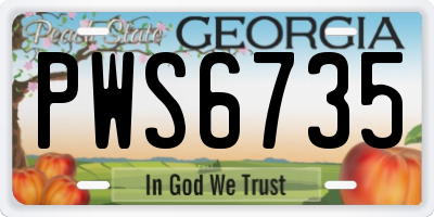 GA license plate PWS6735