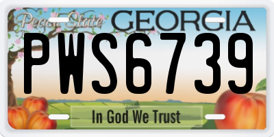 GA license plate PWS6739