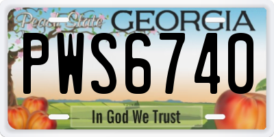 GA license plate PWS6740