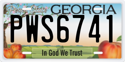 GA license plate PWS6741