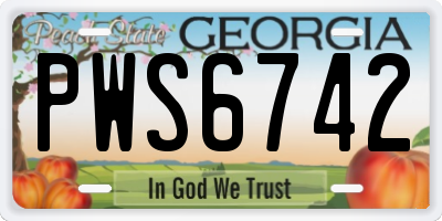 GA license plate PWS6742