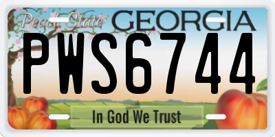 GA license plate PWS6744