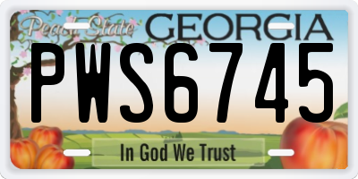 GA license plate PWS6745