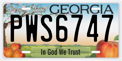 GA license plate PWS6747