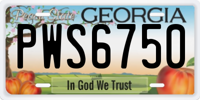 GA license plate PWS6750