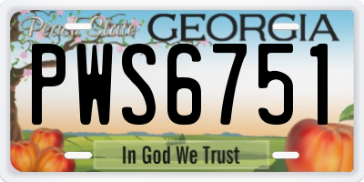 GA license plate PWS6751