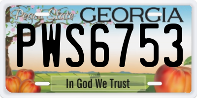 GA license plate PWS6753