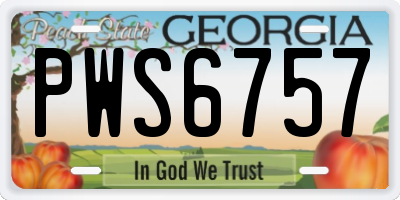GA license plate PWS6757