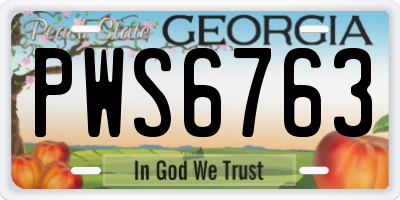 GA license plate PWS6763