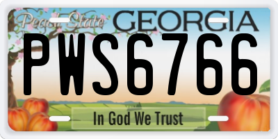 GA license plate PWS6766