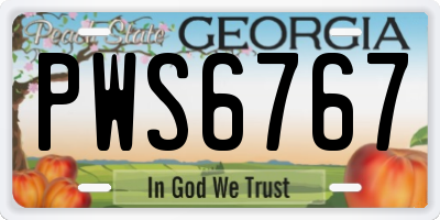 GA license plate PWS6767