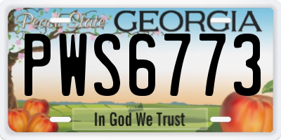 GA license plate PWS6773