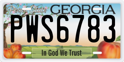 GA license plate PWS6783