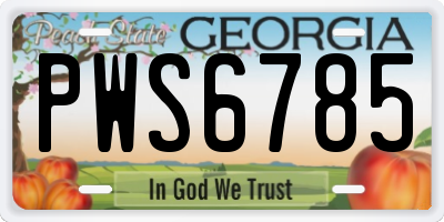 GA license plate PWS6785