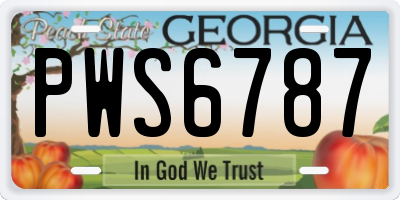 GA license plate PWS6787