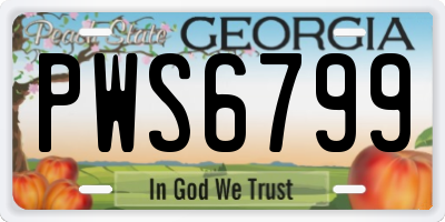 GA license plate PWS6799