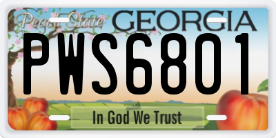 GA license plate PWS6801