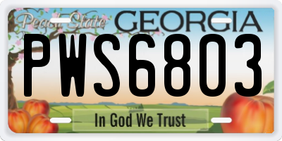 GA license plate PWS6803