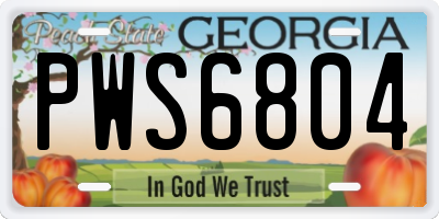 GA license plate PWS6804