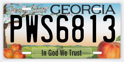 GA license plate PWS6813