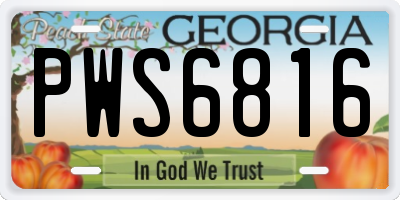 GA license plate PWS6816