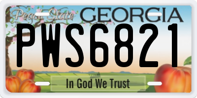GA license plate PWS6821