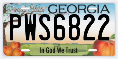GA license plate PWS6822