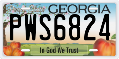 GA license plate PWS6824