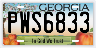 GA license plate PWS6833