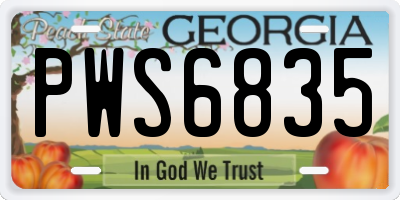 GA license plate PWS6835