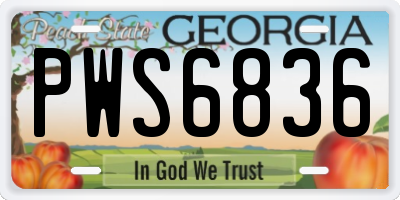 GA license plate PWS6836