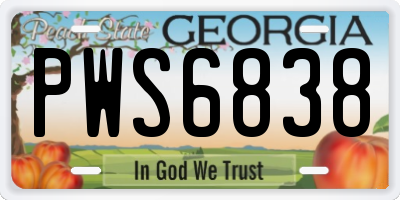 GA license plate PWS6838