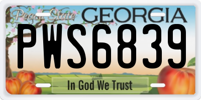 GA license plate PWS6839