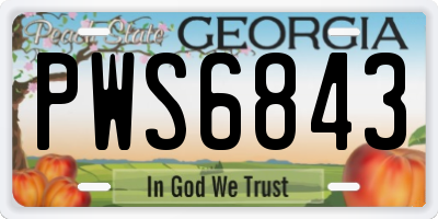 GA license plate PWS6843