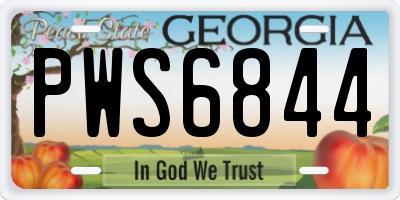 GA license plate PWS6844