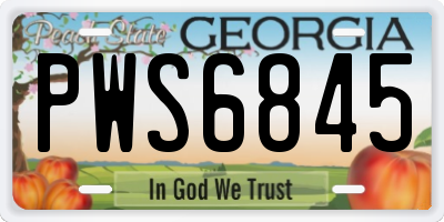 GA license plate PWS6845